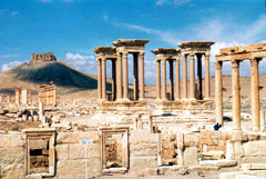 Exkursion 1994: Jordanien und Syrien, Palmyra;  Reisebericht von Manfred Maronde