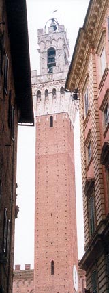 Rathausturm in Siena
